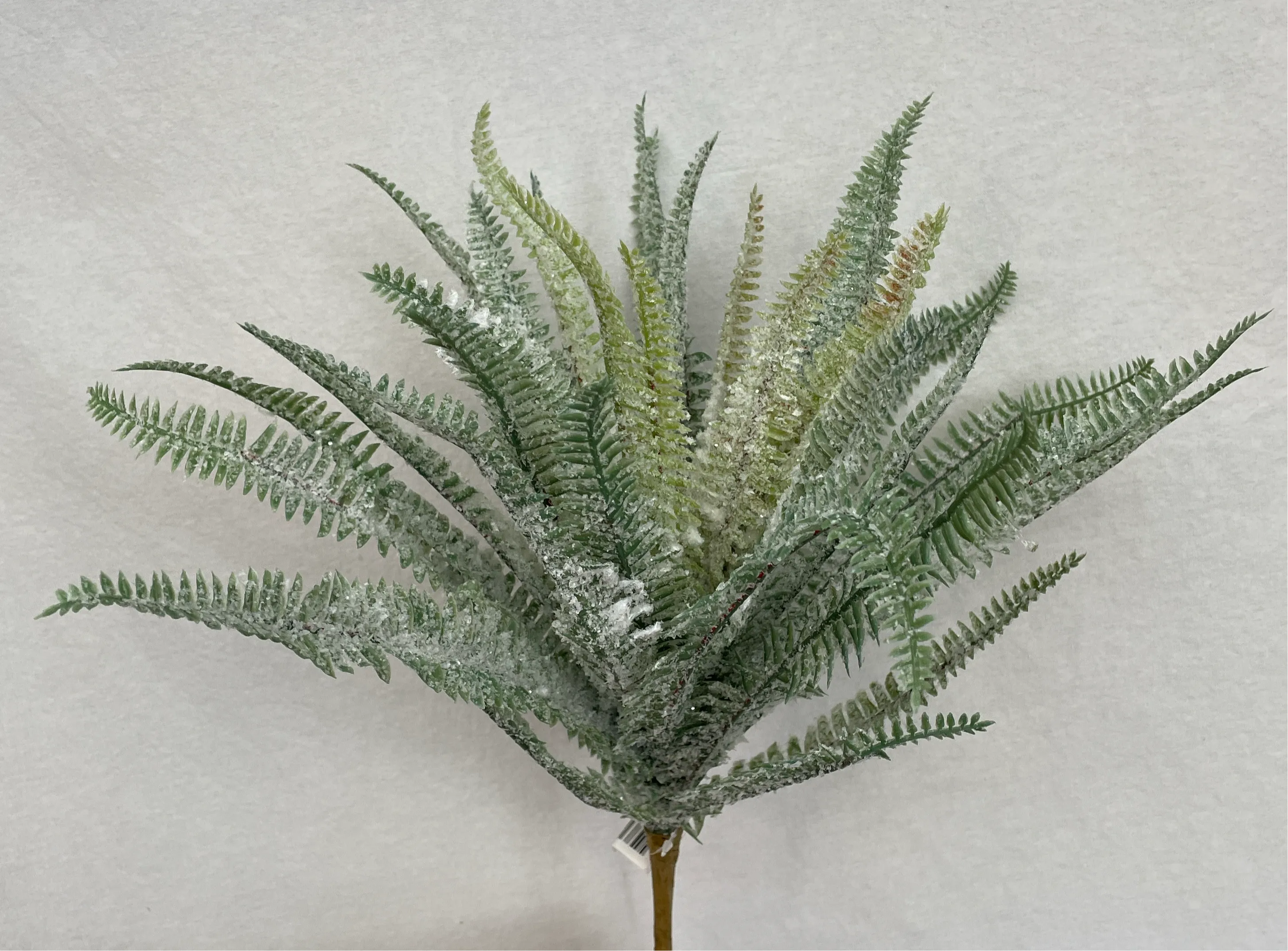 16" Snowy Boston Fern Spray