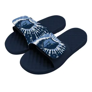Memphis Grizzlies Slides