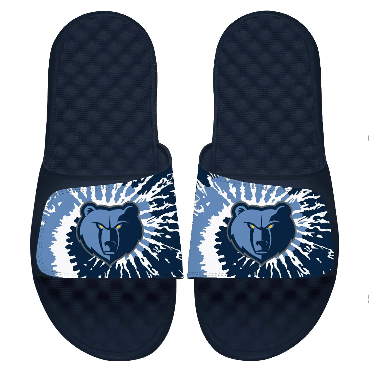 Memphis Grizzlies Slides
