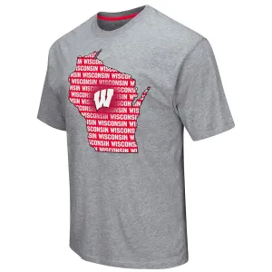Wisconsin Badgers Colosseum Gray State Outline Short Sleeve Cotton T-Shirt